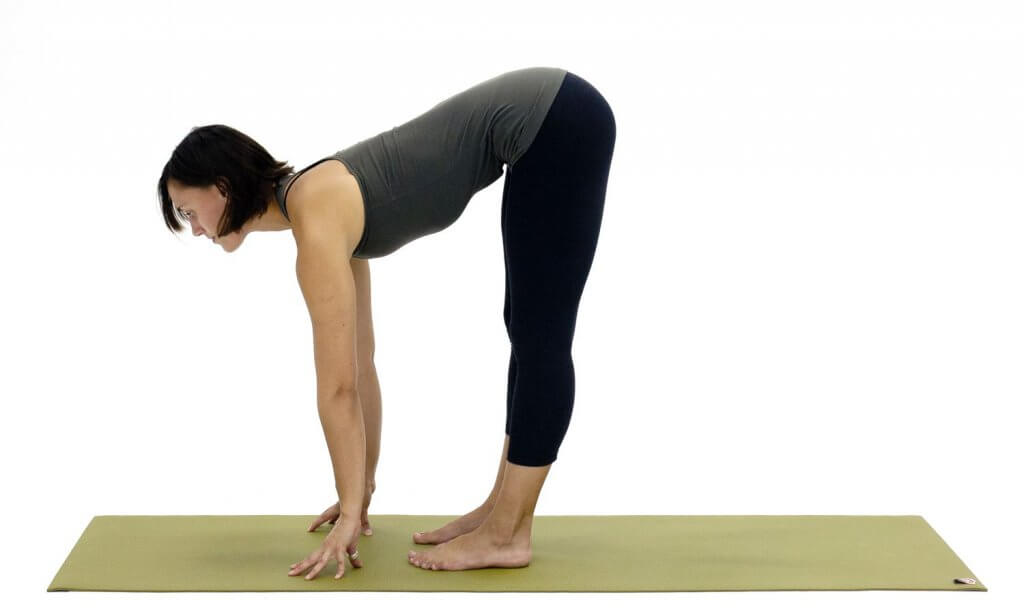 Yoga giảm mỡ bụng tư thế tay chân cơ bản