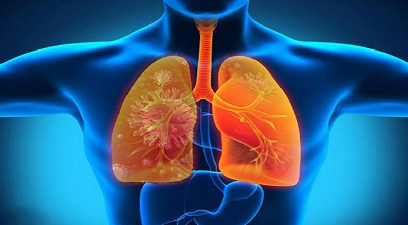 Cải thiện chức năng của phổi