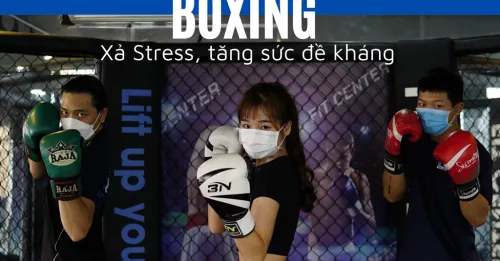 2d2e617a798eb3d0ea9f size 1024 Bộ Môn Boxing | Xả Stress, Tăng Sức Đề Kháng