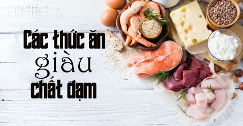 Các thức ăn giàu chất đạm