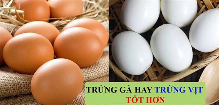 tap gym nen an trung ga hay trung vit bo hon2 760x367 600x400 1613908779 width1280height618 Tập Gym Nên Ăn Bao Nhiêu Trứng 1 Tuần