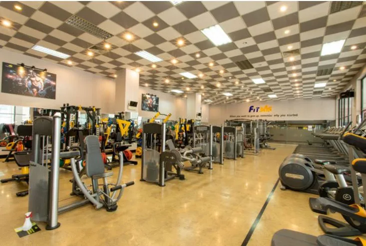 Phòng tập Fit365 - Fitness & Yoga
