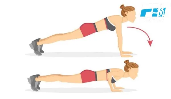 5 Bài Tập Giảm Mỡ Bắp Tay Tại Nhà Cho Đôi Tay Thon Gọn bai tap giam mo bap tay push up 4 bài tập giảm mỡ bắp tay push up