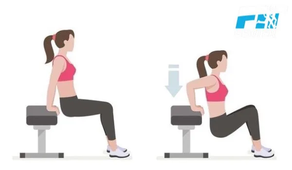 bài tập giảm mỡ bắp tay tay sau