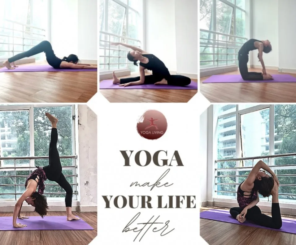 Top 11 Phòng Tập Yoga Quận 1 “Chất” Mà Bạn Không Nên Bỏ Qua yoga living 10 Yoga Living