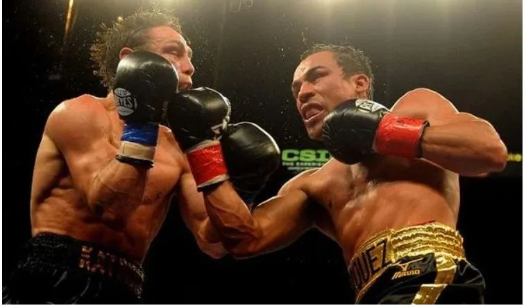 Giới Thiệu Các Đòn Đấm Trong Boxing Mà Bạn Nên Biết don uppercup 4 Đòn Uppercut