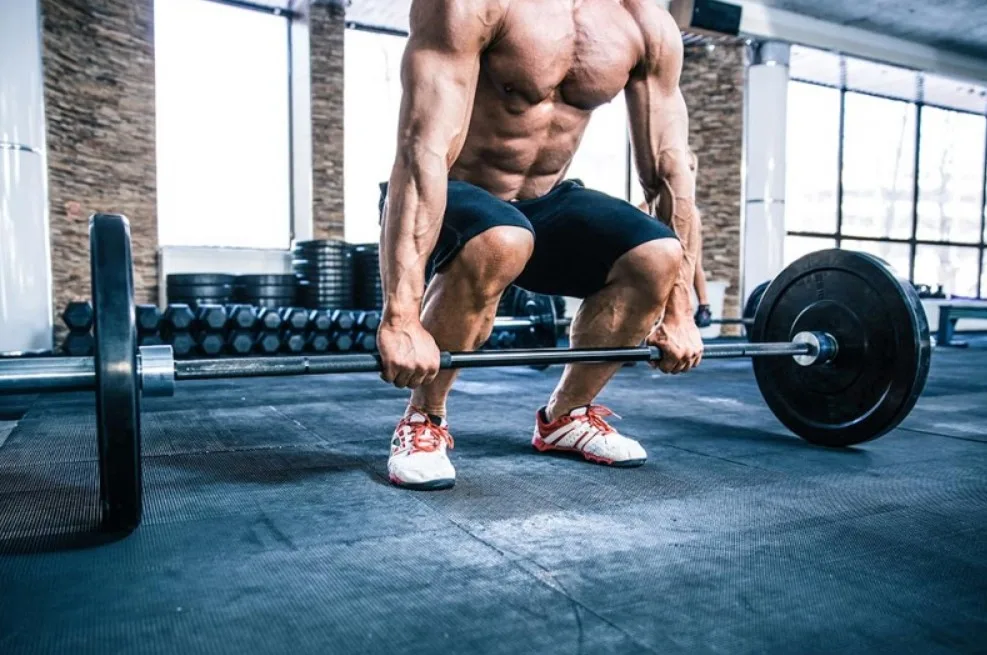 cac dang bai tap gym va fitness Tập gym bị chững lại (Plateau): Nguyên nhân và 7 cách vượt qua hiệu quả