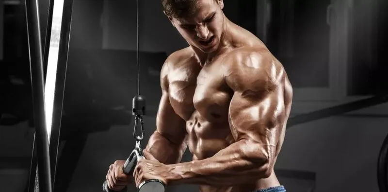 Bulking Và Cutting Là Gì? Ưu Nhược Điểm Và Sai Lầm Cần Tránh huong dan bulking hieu qua 2 Hướng dẫn cách bắt đầu Bulking hiệu quả
