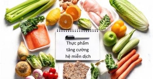 thuc pham tang cuong he mien dich 4 Loại thực phẩm tăng cường hệ miễn dịch hiệu quả