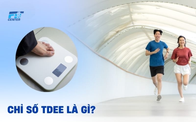 Tdee là gì?