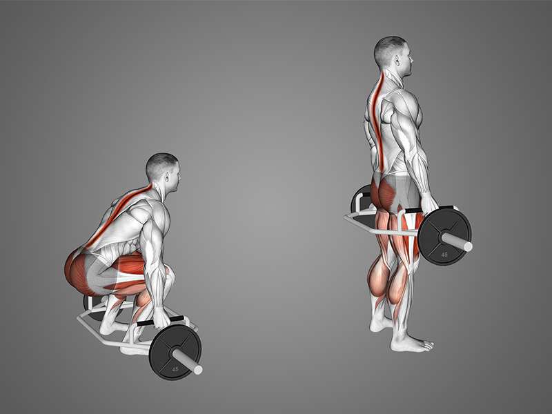 Deadlift Là Gì? Tổng Quan, Biến Thể  Kỹ Thuật Tập Đúng Cách
