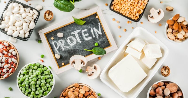 Protein cho người tập gym: Lựa chọn tối ưu, hướng dẫn chi tiết A-Z